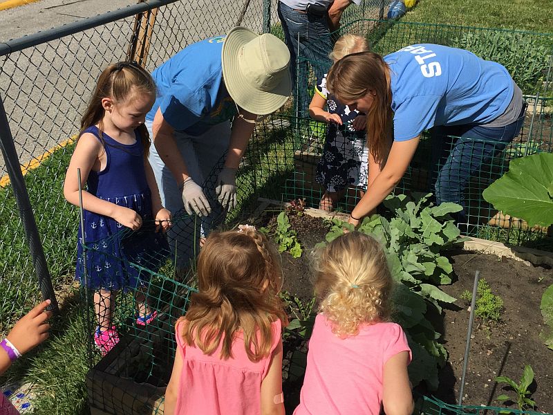 Adults and children working in a raised vegetable garden.