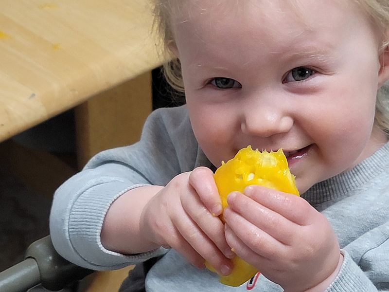 A young child sitting and eating fruit.