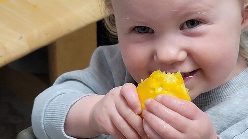 A young child sitting and eating fruit.