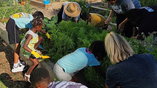 Children and adults working in a vegetable garden of raised beds.