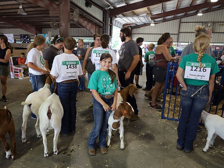 A girl with her goat at the fair. Other exhibitors, goats, and spectators standing around her. 