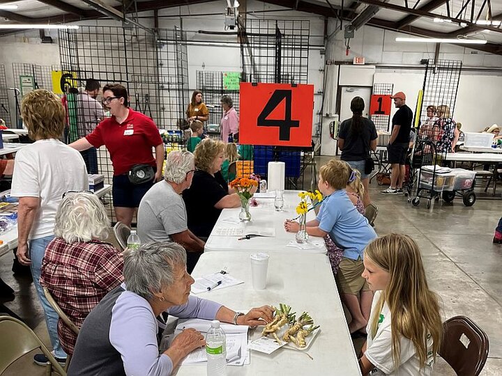 Fair exhibitors speaking to judges at the Sarpy County Fair. 