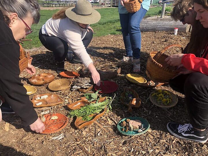 Adults outside placing eatable plant leaves and flowers on wooden plates and bowls on the ground covered with mulch.