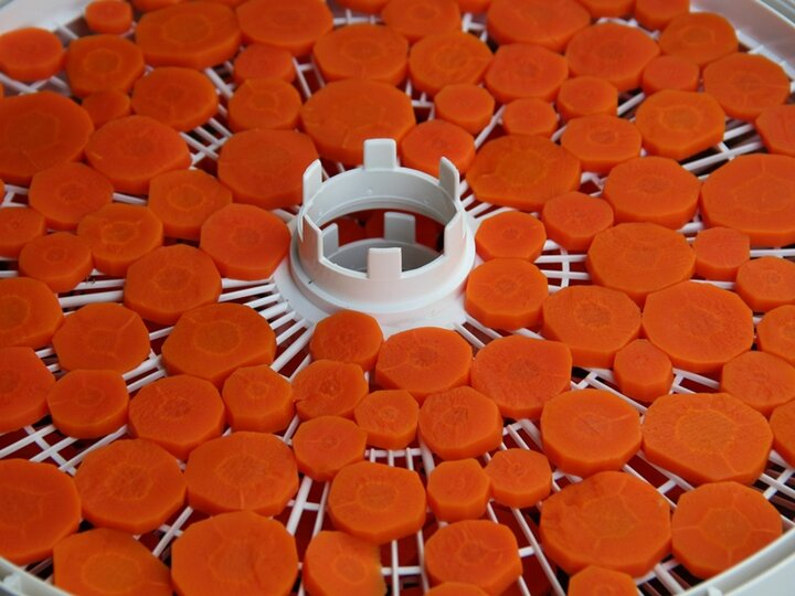 Carrots in a food dehydrator.