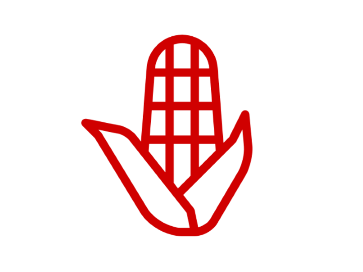seasonal produce guides icon (ear of corn with husk partial removed)