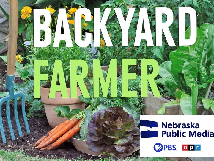 Backyard Farmer Logo