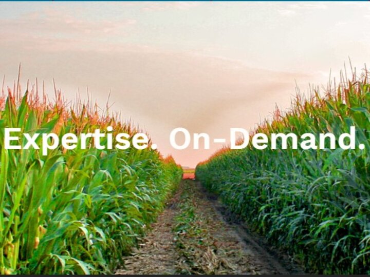 Extension Publications Logo (A two rows of corn with the words "Expertise On-Demand.")