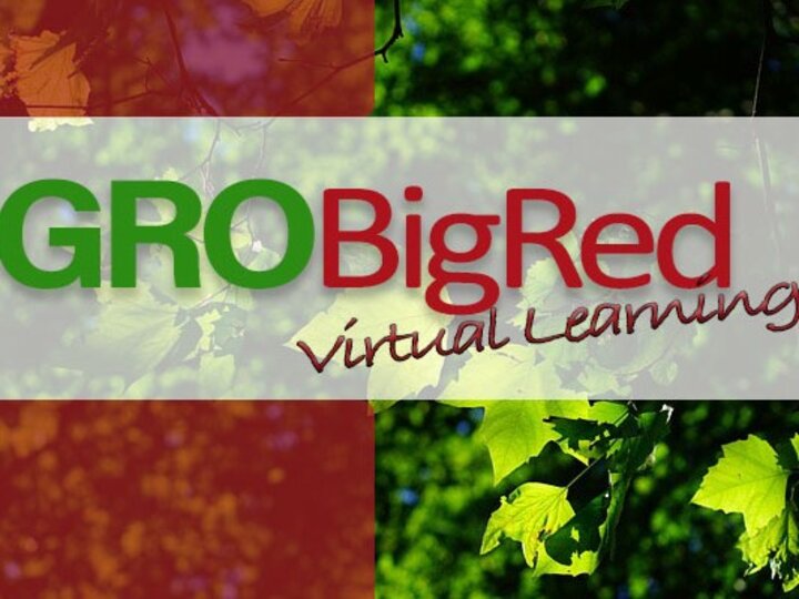 GRO Big Red Virtual Learning Logo