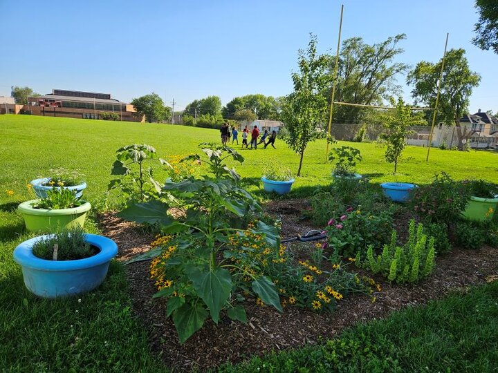 Growing Together: The Hope Center for Kids Garden. Garden with kids playing on a grass field in the distance.