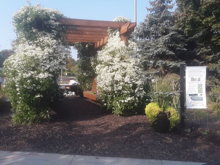 Village Pointe Garden.
